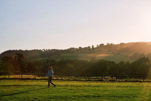 Two Night Glamping Break for Two at Secret Valley, Somerset - Img 2