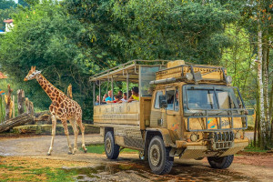 Visit to Chessington World of Adventures for Three - Img 2