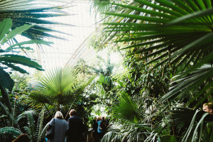 Visit to Kew Gardens with Cream Tea for Two - Img 3