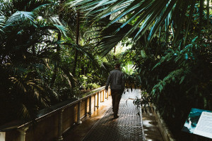 Visit to Kew Gardens with Thames River Cruise from Central London for Two - Img 2
