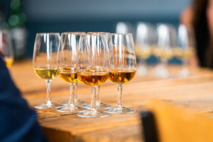 A Tour of Scotland Whisky Tasting at Grain & Glass - Img 2