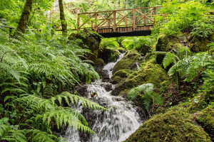 Visit to Canonteign Falls with Afternoon Tea for Two - Img 4