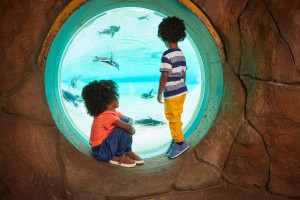 Visit to London Zoo for Two Adults and Two Children