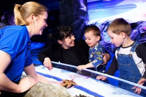 Visit to SEA LIFE London for Two Adults and Two Children