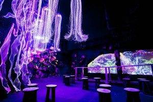 Avora: Immersive Cocktail Experience for Two - Img 2