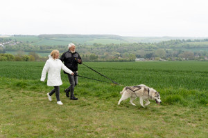 Hike with Huskies and Entry to Eagle Heights Wildlife Foundation for Two - Img 3