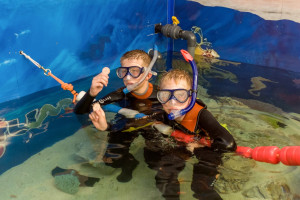 Junior Snorkel with Baby Sharks at Skegness Aquarium - Img 3
