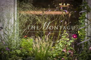 Luxury Four Course Dinner with Champagne for Two at The Montagu Kitchen, Hyatt Regency London - Img 4