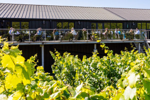 Vineyard Tour, Wine Tasting and Lunch for Two at Bolney Wine Estate - Img 3