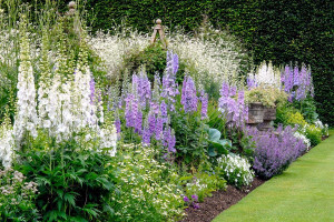 Visit The World's Oldest Topiary Garden at Levens Hall with Lunch for Two - Img 2