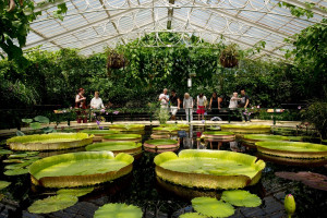 Visit to Kew Gardens for Two Adults - Img 4