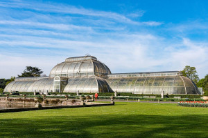 Visit to Kew Gardens with Prosecco Afternoon Tea at The Botanical for Two - Img 3