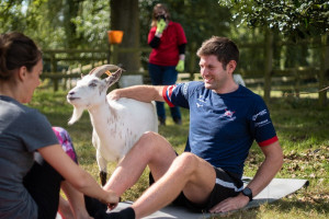 Yoga with Goats in the Suffolk Countryside - Img 3