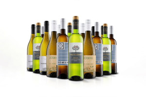 Must Have 16 Bottle White Wine Case from Virgin Wines