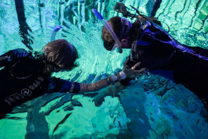 The Bear Grylls Snorkel Experience plus Archery for Two - Img 3
