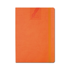 Agendă 439 Vinci Flex Arancio, nedatată ,15 x 21 cm
