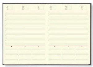 Agendă 449 Tellaro Bordo, nedatată 17 x 24 cm - Img 2