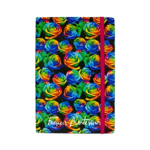 Notes Montesinos diverse modele, 13 x 21 cm - Img 4
