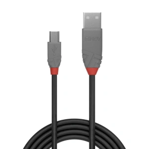 Cablu Lindy 1m USB 2.0 Type A to MiniUSB - Img 2