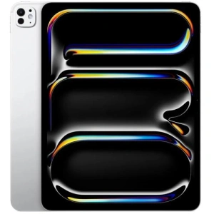 iPAD PRO 13 M5 WiFi&Cell 256GB SG SILVER