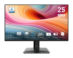 MSI Pro MP252 E2 computer monitor