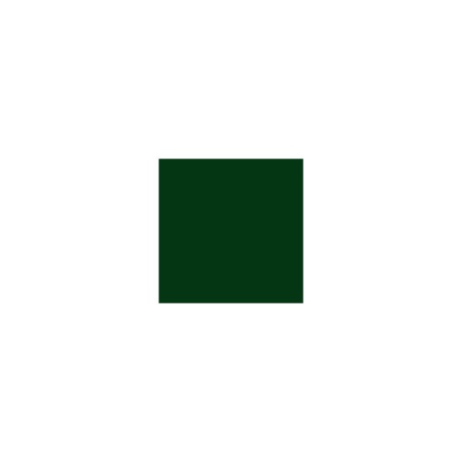 Spray Vopsea Profesional Champion Verde Mat RAL6005 400ml - Img 3