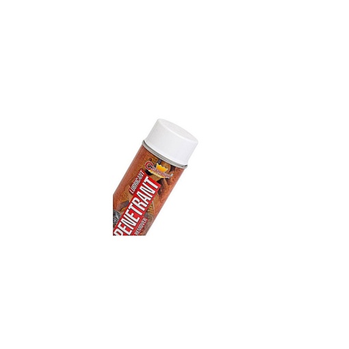Spray Vopsea Profesional Champion Degripant 400ml - Img 2