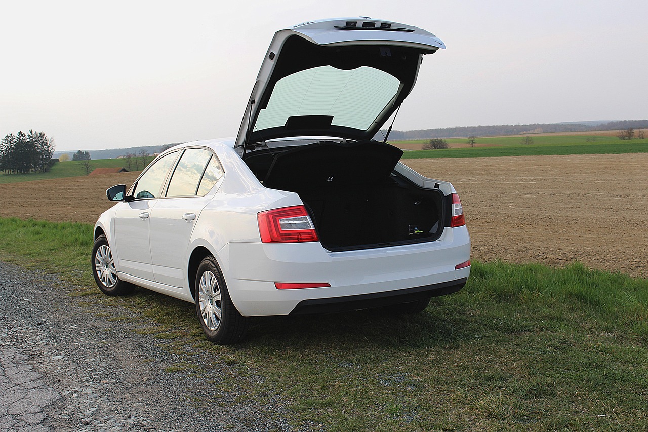 Incuietoare haion defectă și motor electric haion – diagnostic complet și ghid înlocuire