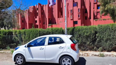 Piese Auto din România Livrate în Valencia și Murcia – Ghid pentru Diaspora Română