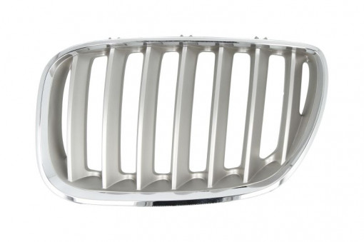 Grila radiator Stanga (titan) potrivit BMW X5 (E53) 3.0-4.8 01.00-10.06 -12.06