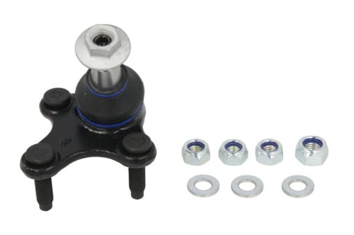 Pivot axa Dreapta (diametru con 15,2mm) potrivit AUDI A3, Q2, Q3; CUPRA ATECA, FORMENTOR, LEON, LEON SPORTSTOURER; SEAT ALHAMBRA, ATECA, LEON, LEON SC, LEON SPORTSTOURER 1.0-3.6 08.04-