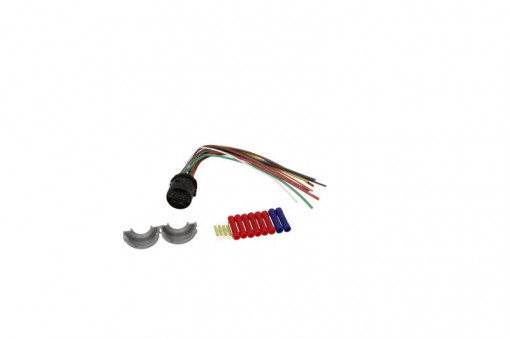 Set cabluri pentru usa din spate (200mm, numar pini: 11, cu dop; fara acoperire; pentru vehicule cu geam electric, Dreapta/Stanga) potrivit OPEL MERIVA A 1.3D-1.8 05.03-05.10