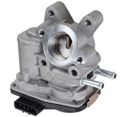 Supapa EGR potrivit NISSAN CABSTAR, NAVARA, NAVARA NP300, NP300, NT400 CABSTAR, PATHFINDER III, PICK UP 2.5D 02.02-