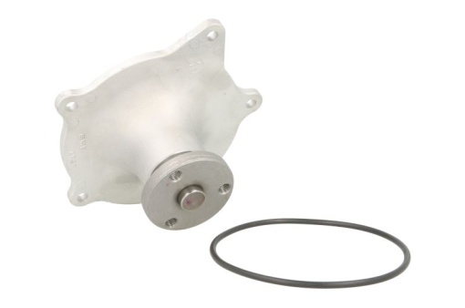 Pompa apa cu garnitura potrivit CHRYSLER GRAND VOYAGER III, VOYAGER I, VOYAGER II, VOYAGER III 3.3/3.8 10.89-03.01