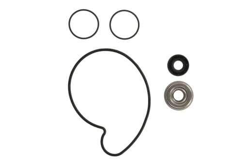 Set reparatie pompa apa potrivit POLARIS RANGER, RZR, ACE, GENERAL 900/925/1000 2016-2022