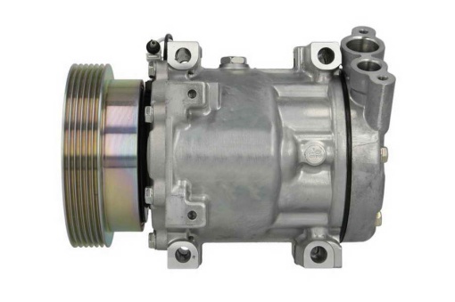 Compresor climatizare potrivit DACIA DUSTER, DUSTER/SUV, LOGAN, LOGAN EXPRESS, LOGAN MCV, SANDERO; LADA LARGUS; RENAULT CLIO II, DUSTER, LOGAN I, SANDERO/STEPWAY I 1.2-1.6LPG 09.98-