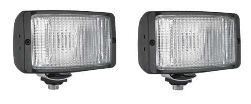 Lumini zi Dreapta/Stanga 12V P21W WESEM (2 buc, cu becuri)