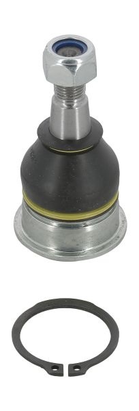 Pivot axa Dreapta/Stanga (inferior fata) (diametru con 16,5mm) potrivit CITROEN C1, C1 II; PEUGEOT 107, 108; SUBARU TREZIA; TOYOTA AYGO, AYGO/HATCHBACK, IQ, MR2 III 1.0-1.8 04.99- - Img 1