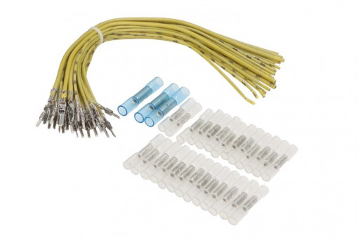 Set cabluri pentru usa din fata (200mm, numar pini: 29, cu capac, Dreapta/Stanga) potrivit FORD GALAXY I; SEAT ALHAMBRA; VW SHARAN 1.8-2.8 03.95-03.10