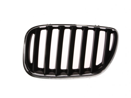 Grila radiator Stanga (crom/negru) potrivit BMW X5 (E53) 3.0-4.8 01.00-10.06 -12.06