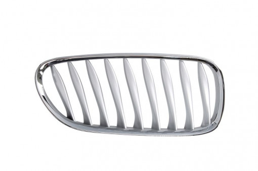 Grila radiator Dreapta (gri) potrivit BMW Z4 (E85), Z4 (E86) 2.0-3.2 12.02-02.09 -12.08