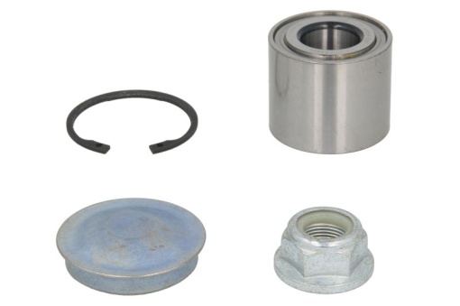Kit rulment roata Spate Dreapta/Stanga (25x55x45) potrivit DACIA SANDERO II; RENAULT CLIO II, CLIO III, CLIO III/HATCHBACK, MEGANE II, MODUS, SANDERO/STEPWAY II, THALIA I 0.9-2.0 05.00-