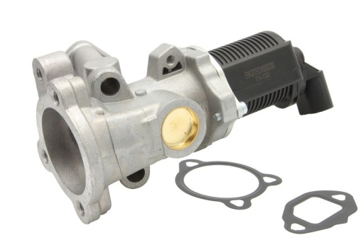 Supapa EGR potrivit ALFA ROMEO MITO; FIAT DOBLO, DOBLO CARGO, DOBLO/MINIVAN, FIORINO/MINIVAN, GRANDE PUNTO, IDEA, LINEA, PALIO, PUNTO EVO, PUNTO EVO/HATCHBACK, QUBO, SIENA 1.3D/1.7D 09.01-