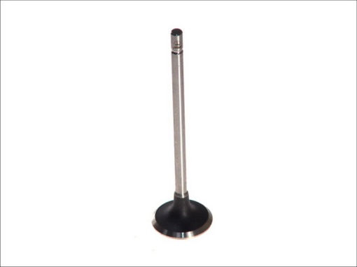 Supapa evacuare (28x5,5x107,5) potrivit DACIA DUSTER, LOGAN, LOGAN MCV, SANDERO; RENAULT CLIO II, CLIO III, GRAND SCENIC II, KANGOO, KANGOO EXPRESS, LAGUNA I, LAGUNA II 1.4-1.6LPG 11.97-