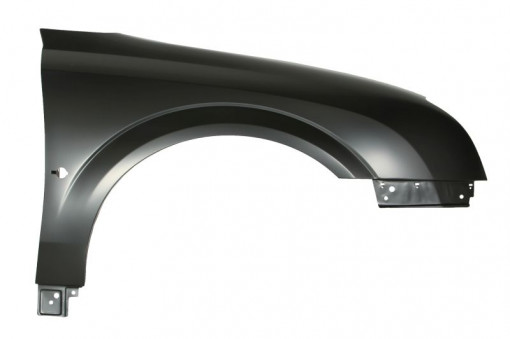 Aripa Dreapta (cu locas semnalizator) potrivit BMW 7 (E65, E66, E67) 01.05-10.11
