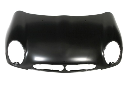 Capota motor (otel) potrivit MINI (R50, R53), (R52) 06.01-09.06