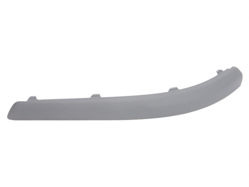 Element Ornament bandou bara spate Stanga grunduit potrivit FORD FOCUS II; 07.04-09.12 11.04-02.08
