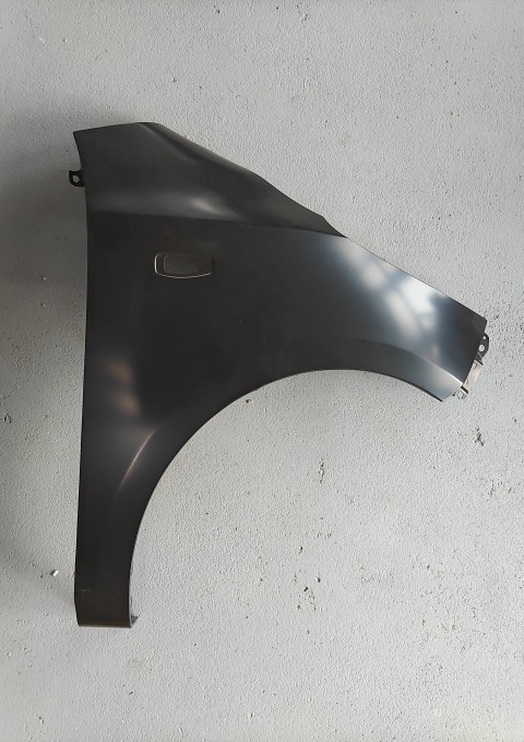 Aripa Stanga (cu locas semnalizator) potrivit HYUNDAI I10 I 01.08-12.13 Resigilat