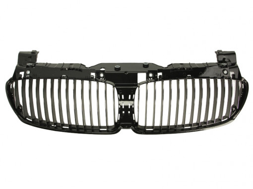 Grila radiator (partea interioara) potrivit BMW 7 (E65, E66, E67) 3.0-6.0 07.01-08.08 -12.09
