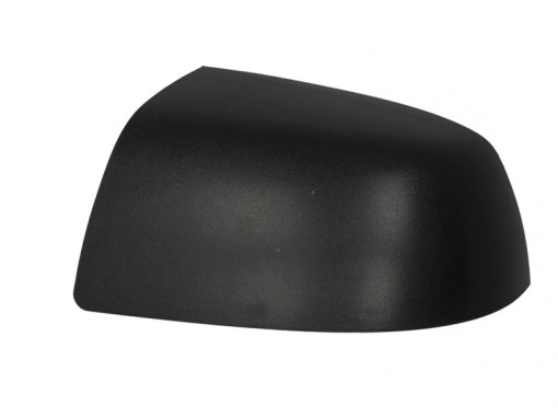 Carcasa oglinda Stanga (negru) potrivit FORD FIESTA V, FOCUS II; 11.01-09.12